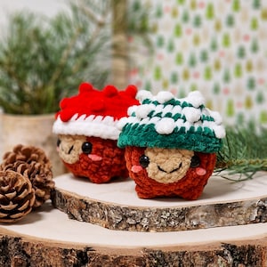 Può includere: Due ornamenti a forma di ghianda all'uncinetto con facce sorridenti, che indossano cappelli festivi. Un cappello è rosso con bordino bianco, l'altro è verde con pon pon bianchi.
