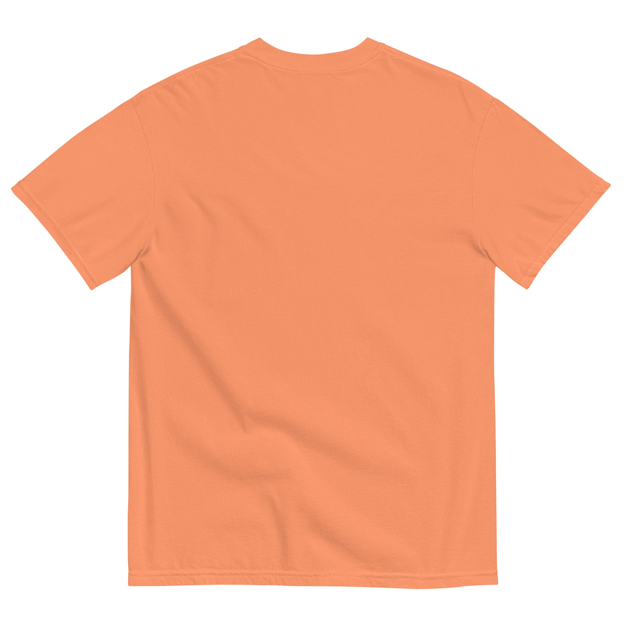 Corporate Sayings: Low Hanging Fruit Unisex Garment-dyed