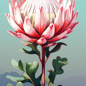 King Protea with blue background, South Africa Flowers, Digital Floral Print, Home Decor