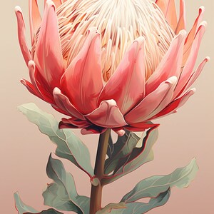 Digital, Clipart, Protea Print, Digital Prints, Floral Art, South African Art