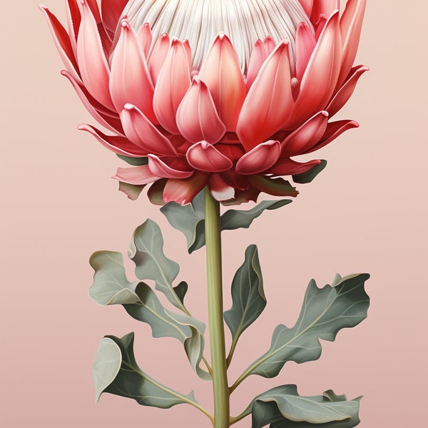 Flower Art Print - Pink King Protea - Botanical Watercolors Illustration - Instant Digital Download - Printable Wall Art