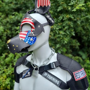 以下が含まれることがあります： 赤、白、青のアメリカ国旗のアクセントが付いた黒い革製のパップマスク。マスクには鼻、耳、目のカバーが付いています。 「IN TRAINING」と「BEST FRIEND」という文字が入った黒いハーネスも表示されています。