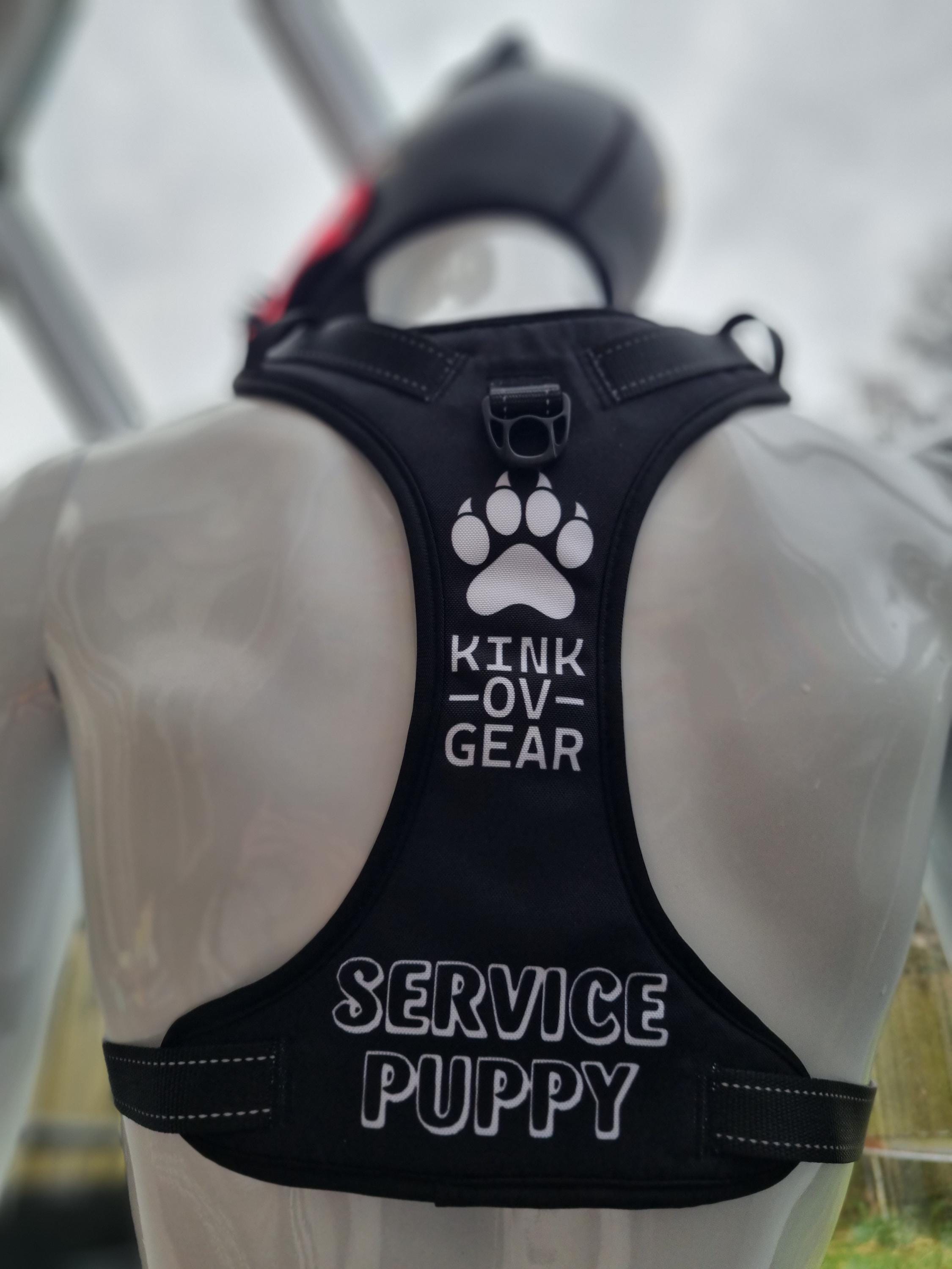 介助犬用ハーネス セラピー犬 人間用 XLサイズ リーシュ付き