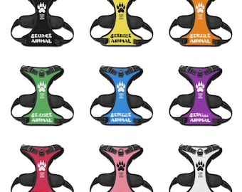 Custom Name/Text/Color Human Animal Harness +Leash Therapy Dog Pet Play Puppy Furry Chest Buckle Pup Gear Orange Blue Pink Red Blue Green