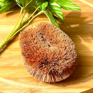 Pack of 2 - Coconut Scrubber 100% Natural Coconut Coir Fiber Brush, Ideal for Vegetable and Fruit Scrub, Kitchen & Cleaning Needs.
