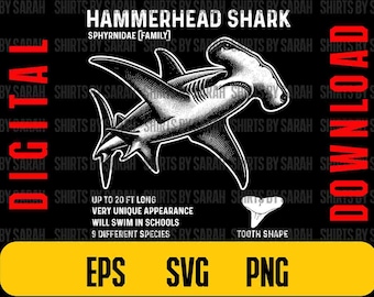 Hammerhead Shark SVG PNG: Marine Biology Design (Digital Download