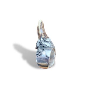 Puede incluir: Un anillo plateado con un diseño de cuerno natural. El anillo presenta una banda texturizada y un elemento de cuerno detallado, que combina la estética rústica y refinada. El cuerno es de color marrón claro y crema.
