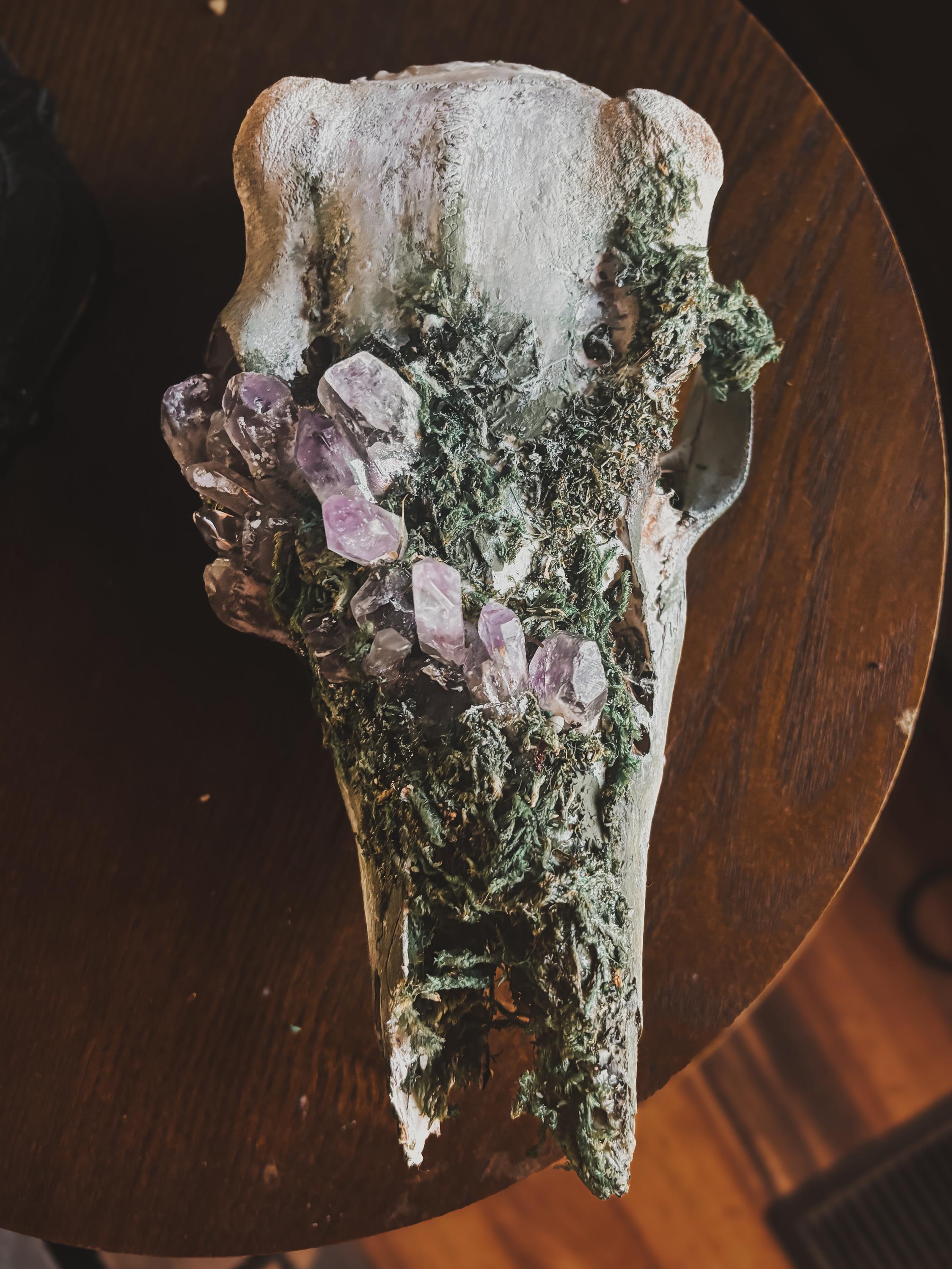 Woodland Alchemy Skull - Amethyst buck skull