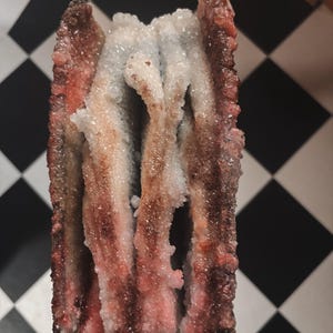 Crystallized Book - The Celestial Bed - dark academia decor