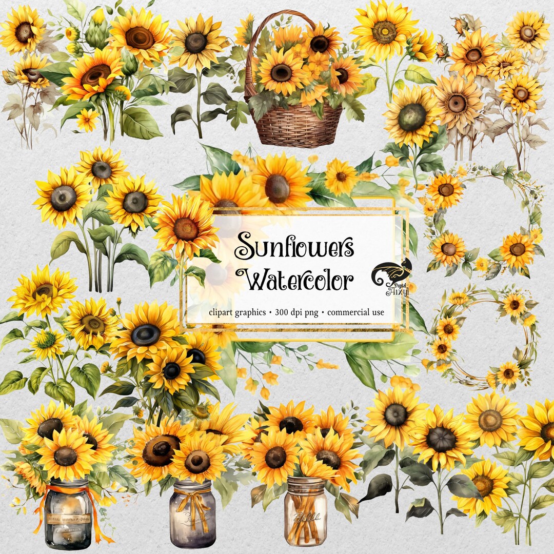 Watercolor Sunflowers Clipart Fall Sunflower Floral Bouquets in PNG ...