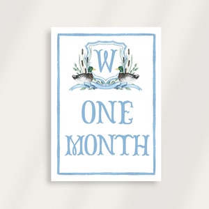 Mallard Baby monthly milestone cards, baby monthly milestone, baby boy monthly milestone cards, boy monthly milestone cards, duck milestone