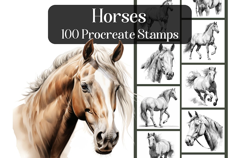Horses 100 Procreate Stamps Realistic Horses Brushes for Etsy