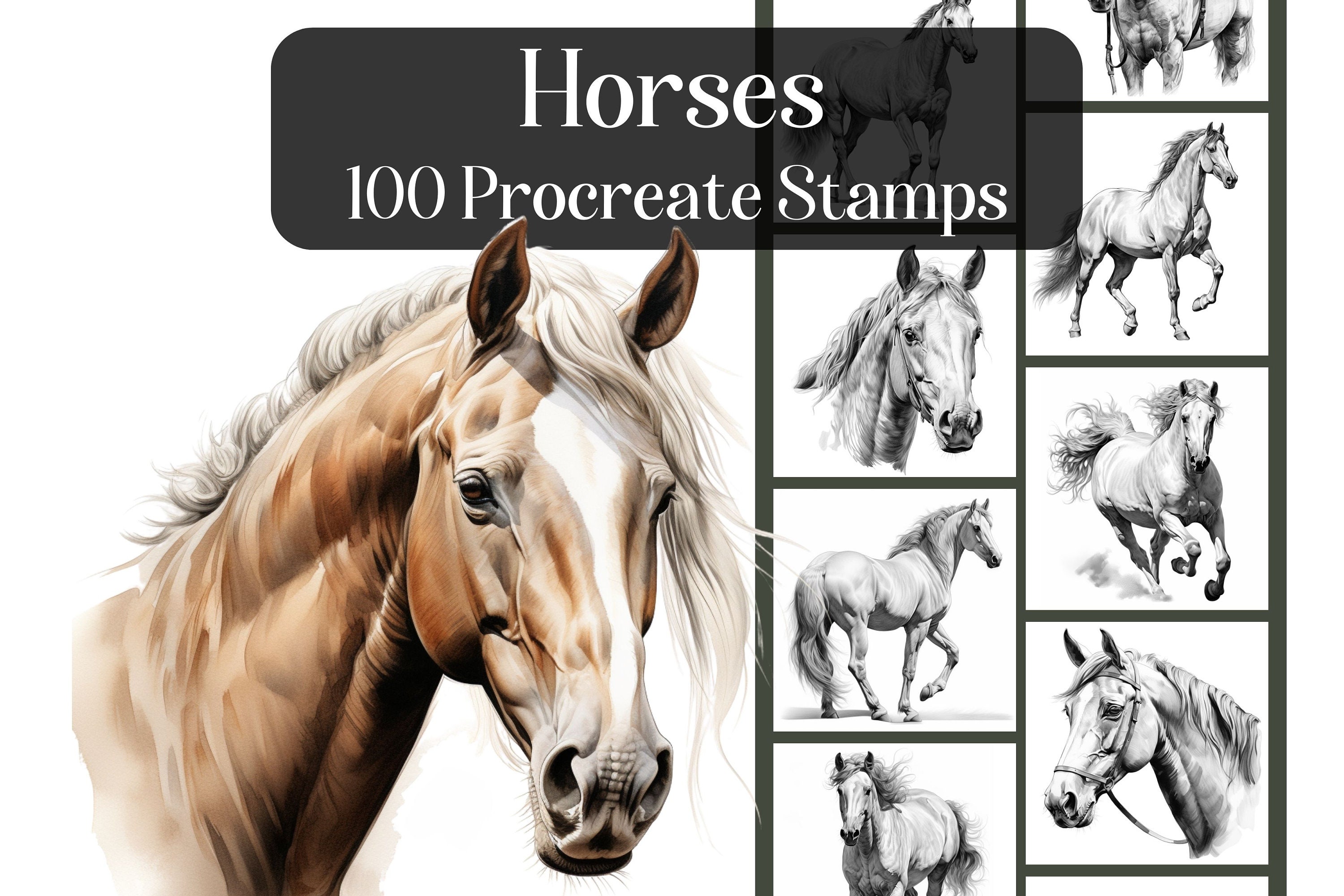 Horses Procreate Stamps – 100 Realistic Horse Brushes for iPad Art & Animal Portraits