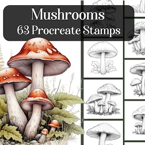Mushrooms Procreate Stamps, 63 realistic Procreate brush stamps, nature and plants, colouring in, reference images, fungi, cottagecore