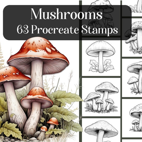 Mushrooms Procreate Stamps, 63 realistic Procreate brush stamps, nature and plants, colouring in, reference images, fungi, cottagecore