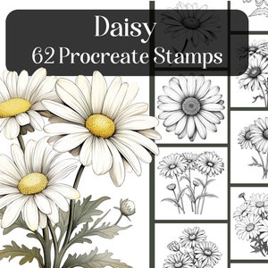 Könnte beinhalten: Ein Set mit 62 Procreate-Stempeln mit Schwarzweiß-Illustrationen von Gänseblümchen. Die Stempel eignen sich perfekt, um deiner digitalen Kunst einen Hauch von floralem Charme zu verleihen.