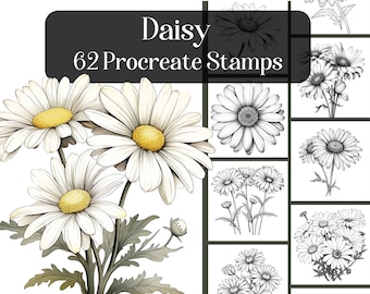 Daisy Procreate Stamps, 62 realistic floral Procreate brushes, reference images, flowers, botanical, plants, drawing