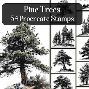 Pine Trees Procreate Stamps, 54 stamps for procreate app on iPad, forest, trees, foliage, woods illustrations, reference images