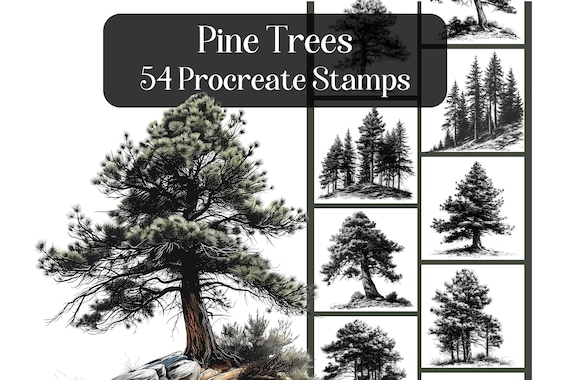 Pine Trees Procreate Stamps: Forest Foliage Brush Set (Digital Download)
