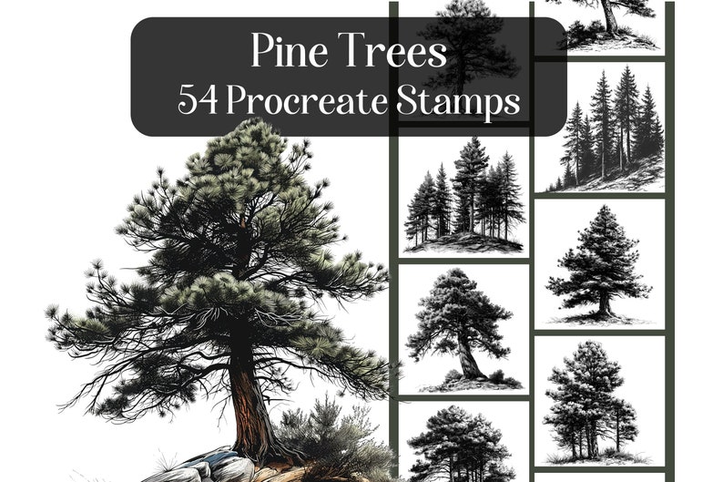 May include: A set of 54 Procreate stamps featuring black and white illustrations of pine trees in various styles and sizes.  Pine Trees 54 Procreate Stamps.