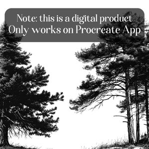 May include: Two black and white illustrations of pine trees. The first image shows a single pine tree with a thick trunk and many branches. The second image shows a group of pine trees with thin trunks and many branches.
