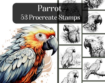 Parrot Procreate Stamps, 53 realistic procreate brush stamps, reference images, colouring, tropical bird, exotic bird, tattoo design