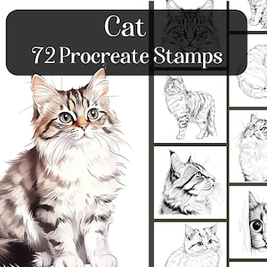 Cat Procreate Stamps, 72 realistic Cat Procreate brush stamps, animals, pet brushes, pet portrait, cute cat, kitten, reference images