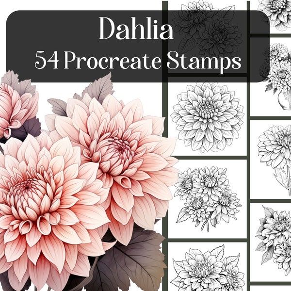 Dahlia Procreate Stamps, 54 realistic floral procreate brush stamps, flowers, botanical, bouquet, reference images, coloring procreate