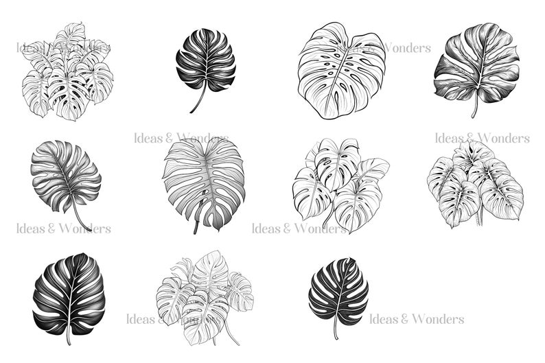 Tropical Leaves Procreate Stamps: Realistic Brush Set (digital Download ...