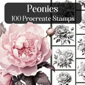 Peonies, 100 procreate stamps, realistic peony brushes for procreate, floral brushes, flower stamps, tattoo design