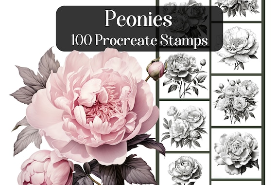 100 Procreate Flower Stamps Procreate Flower Stamps Floral