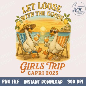 Girls Summer Beach Trip Goose PNG Digital Download File Trending Goose Shirt Idea Funny Goose  Sublimation Print PNG Cute Silly Goose Meme
