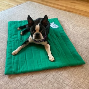 May include: A black and white Boston Terrier dog laying on a green quilted dog bed. The bed has a small blue and white logo on the top right corner.