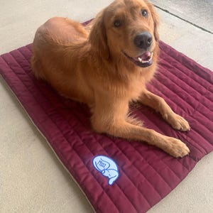 May include: A golden retriever dog laying on a burgundy quilted dog bed with a white patch and a blue embroidered patch that says "Just Snoozin".