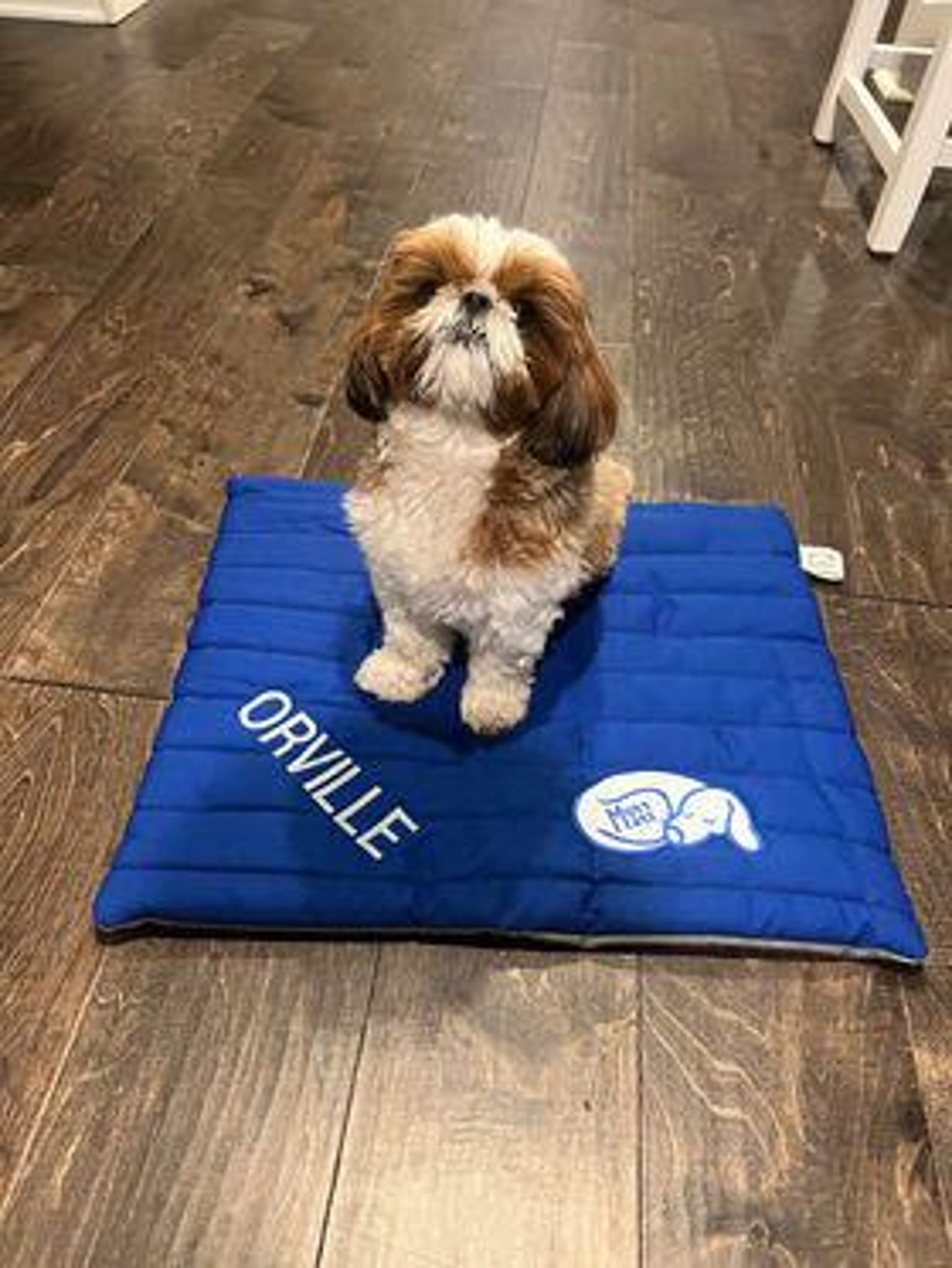 Mutt Mat (dog Travel Mat) - Medium 22