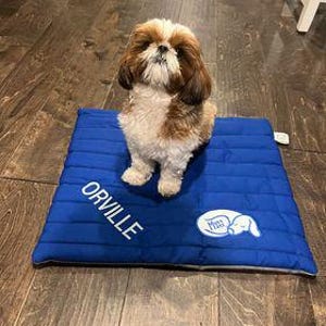 May include: A blue quilted dog bed with the name "Orville" embroidered on it. The bed has a white paw print design in the corner.