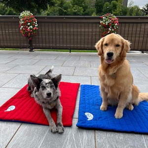 May include: Two dogs, a black and white speckled dog and a golden retriever, are lying on red and blue quilted dog beds. The beds are on a tiled patio.