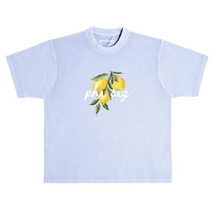 May include: Pale blue t-shirt featuring a lemon and leaf design with the text "phi sig". The brand name "greenberry" is printed on the collar. The illustration is in a watercolor style.