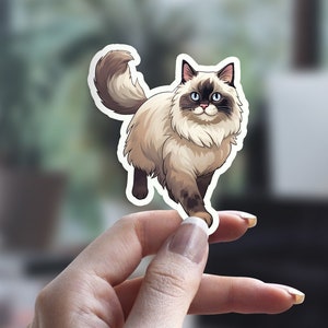 Cute Ragdoll Cat Sticker, Illustrated Cat Sticker, Funny Cat Sticker, Cat Person Sticker, Pet Sticker, Laptop Sticker, Water Bottle Sticker