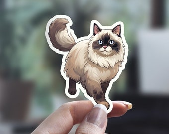 Cute Ragdoll Cat Sticker, Illustrated Cat Sticker, Funny Cat Sticker, Cat Person Sticker, Pet Sticker, Laptop Sticker, Water Bottle Sticker