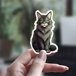 Autocollant de chat Maine Coon, autocollant de chat moelleux, autocollant de chat mignon, autocollant de personne de chat, autocollant d'animal familier, autocollant d'ordinateur portable, autocollant de bouteille d'eau