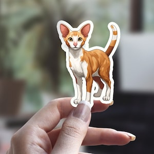 Cute Ginger and White Oriental Shorthair Cat, Illustrated Cat Sticker, Cat Person Sticker, Pet Sticker, Laptop Sticker, Water Bottle Sticker