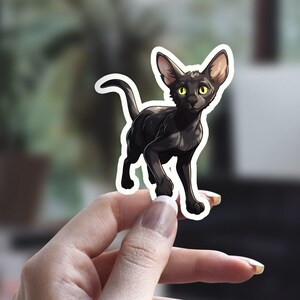 Schwarzer Orientalisch Kurzhaar Aufkleber, schwarzer Katzenaufkleber, niedlicher Katzenaufkleber, Katzen-Person-Aufkleber, Haustier-Aufkleber, Laptop-Aufkleber, Wasserflaschen-Aufkleber