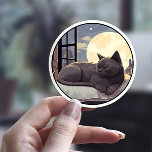 Britisch Kurzhaar Katze Aufkleber, Schlafende Katze, Illustrierter Katzenaufkleber, Katzen Person Aufkleber, Haustier Aufkleber, Laptop Aufkleber, Wasserflasche Aufkleber