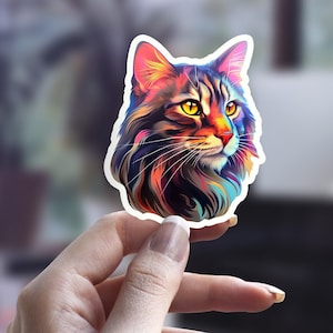 Kleurrijke Maine Coon kat sticker, pluizige kat sticker, schattige kat sticker, kat persoon sticker, huisdier sticker, laptop sticker, waterfles sticker