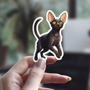 Schwarzer Orientalisch Kurzhaar Aufkleber, schwarzer Katzenaufkleber, niedlicher Katzenaufkleber, Katzen-Person-Aufkleber, Haustier-Aufkleber, Laptop-Aufkleber, Wasserflaschen-Aufkleber