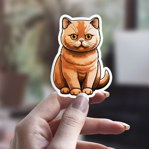 Britisch Kurzhaar rot getigerte Katze Aufkleber, lustige Katze Aufkleber, illustrierte Katze Aufkleber, Katze Person Aufkleber, Laptop Aufkleber