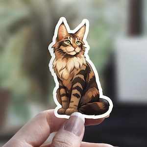 Sticker chat Maine coon, Sticker chat duveteux, Sticker chat mignon, Sticker personne chat, Sticker animal de compagnie, Sticker pour ordinateur portable, Sticker bouteille d'eau