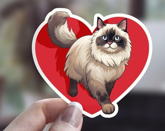 Cute Ragdoll Cat Sticker, Illustrated Cat Sticker, Funny Cat Sticker, Cat Person Sticker, Pet Sticker, Valentines Day Sticker, Rag Doll Cat