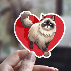 Niedliche Ragdoll Katzen Aufkleber, Illustrierte Katzen Aufkleber, Lustige Katzen Aufkleber, Katzen Person Aufkleber, Haustier Aufkleber, Valentinstag Aufkleber, Rag Doll Katze
